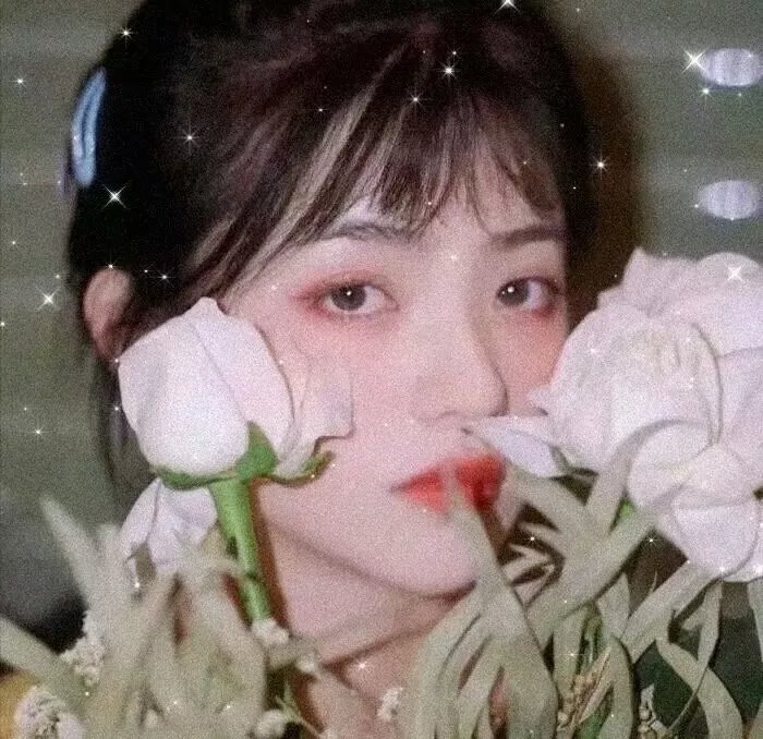蝎子之歌